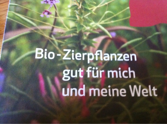 Neu bei Hannig Bio Zierpflanzen