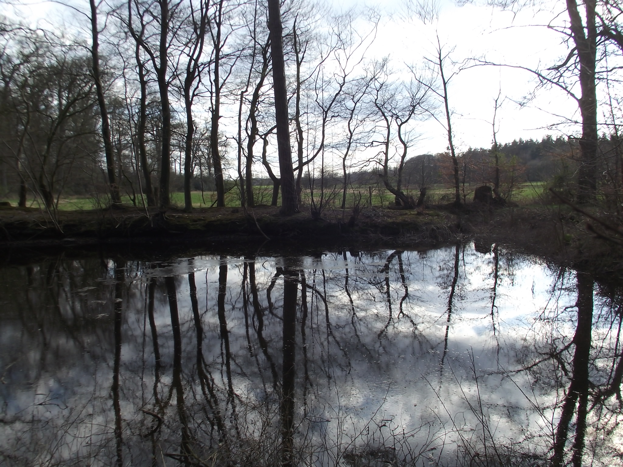 Hier am Teich findet man Froschlaich, sieht und hört aber auch schon die Autobahn A 28