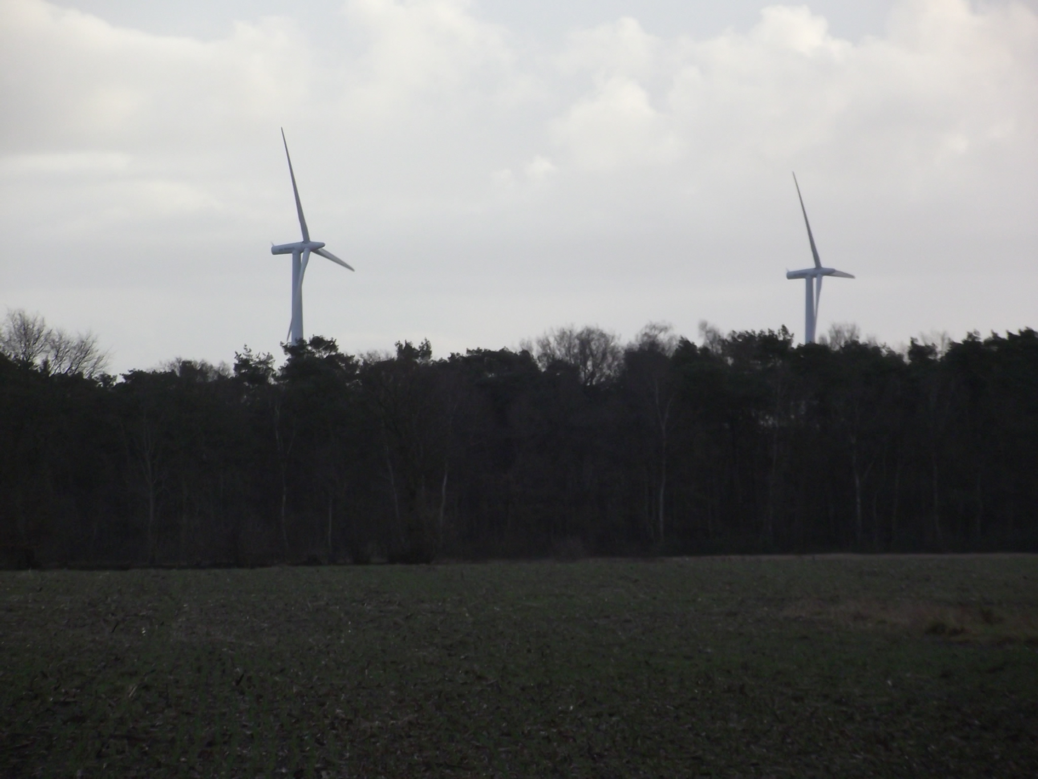 Wildeshauser Geest -Windkraftgewinnung in Steinkimmen