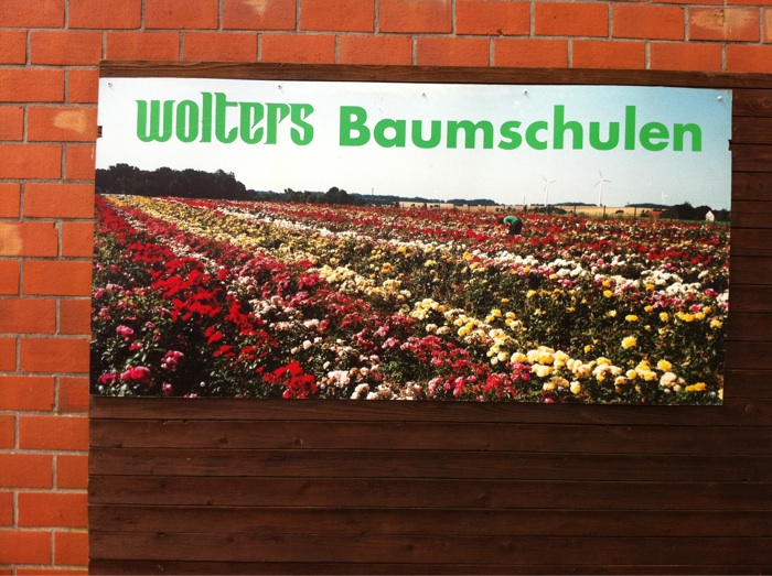 Wolters Baumschulen in Wachendorf - Plakat