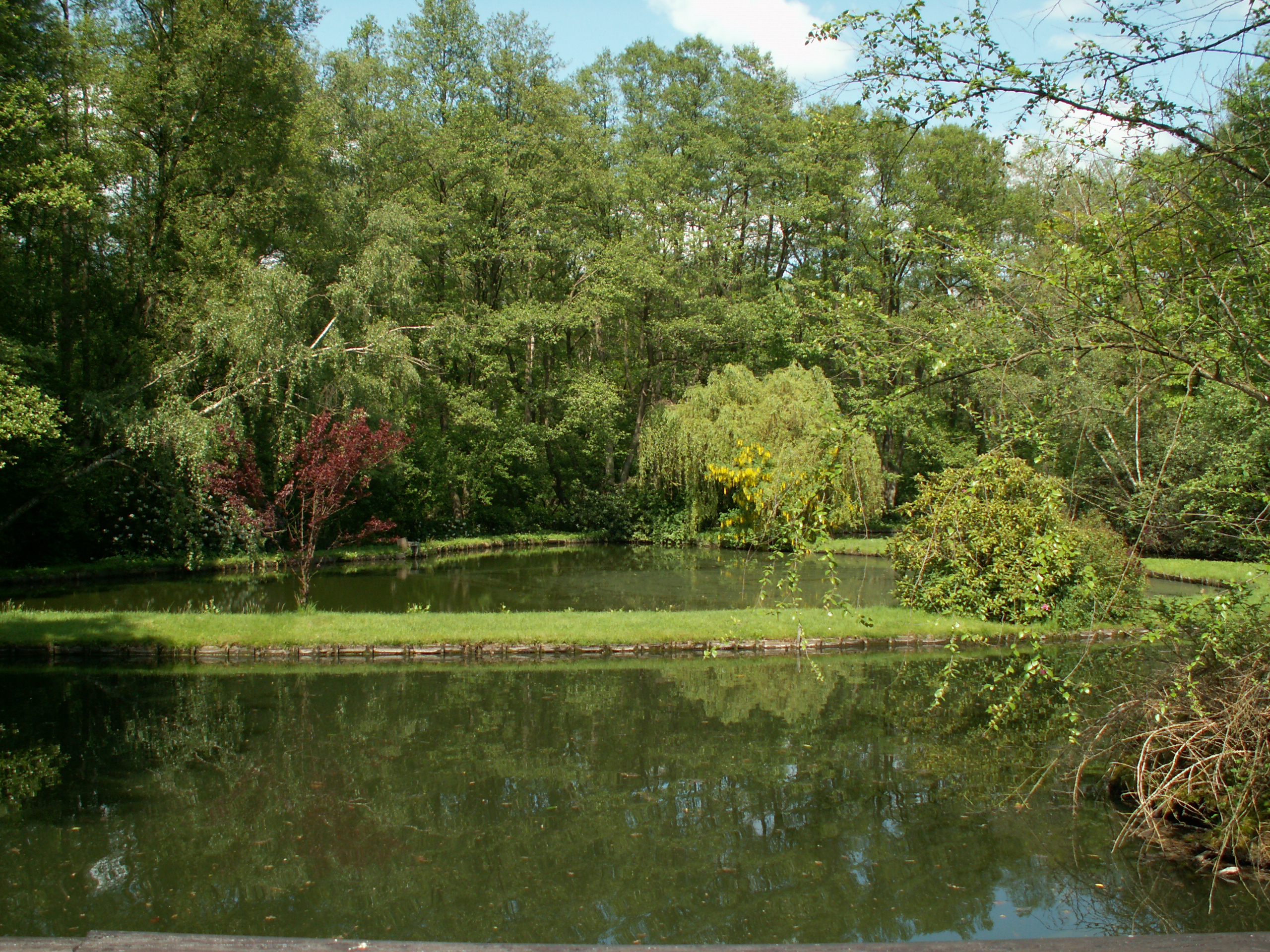 Landgasthof Engelmannsbäke Teich vor der Terasse
