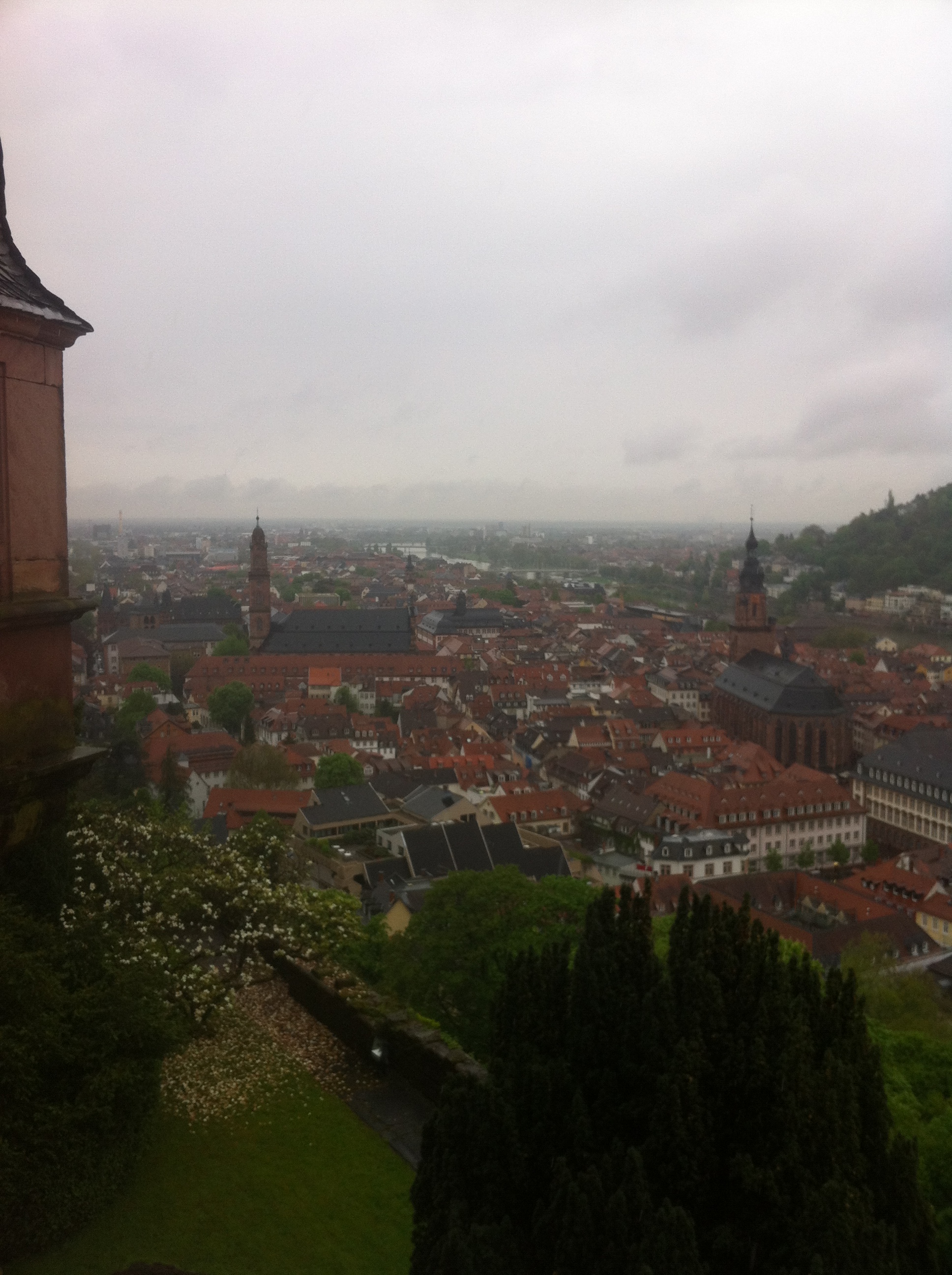 Blick vom Schloss Heidelberg auf den Neckar