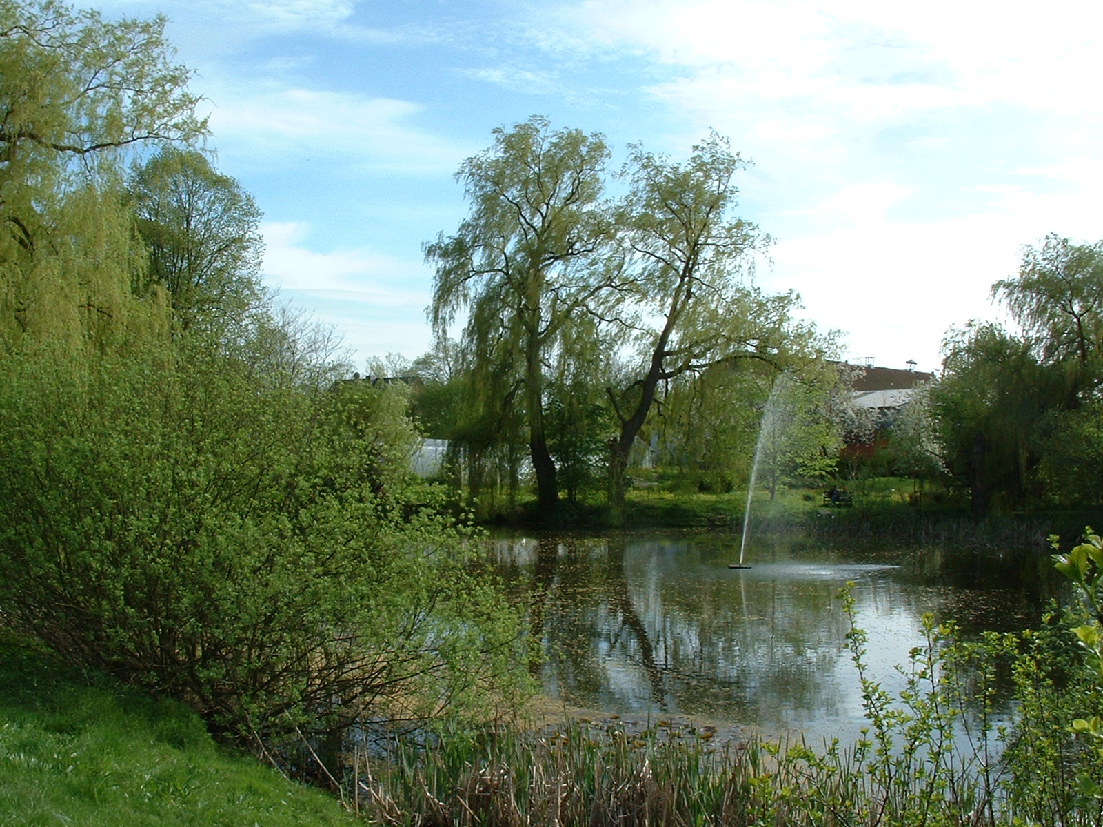 Teich vor dem Gutshaus Stellshagen