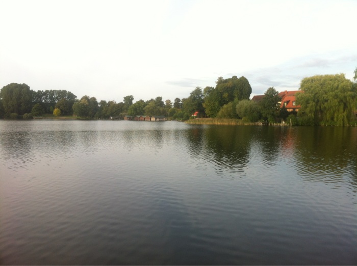 Haussee