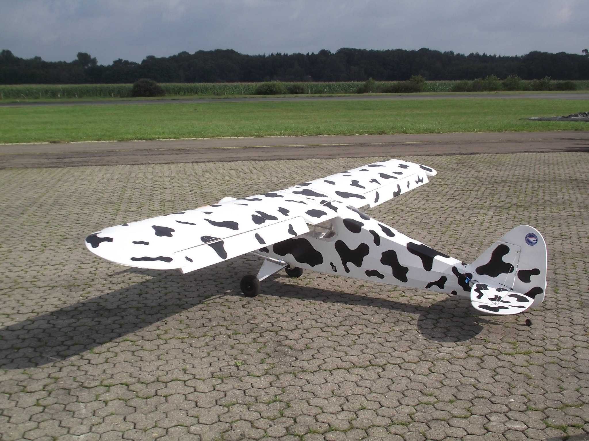 Jet-Flugtage in Ganderkesee - hier werden die Modelle präsentiert - Kuhflecken?