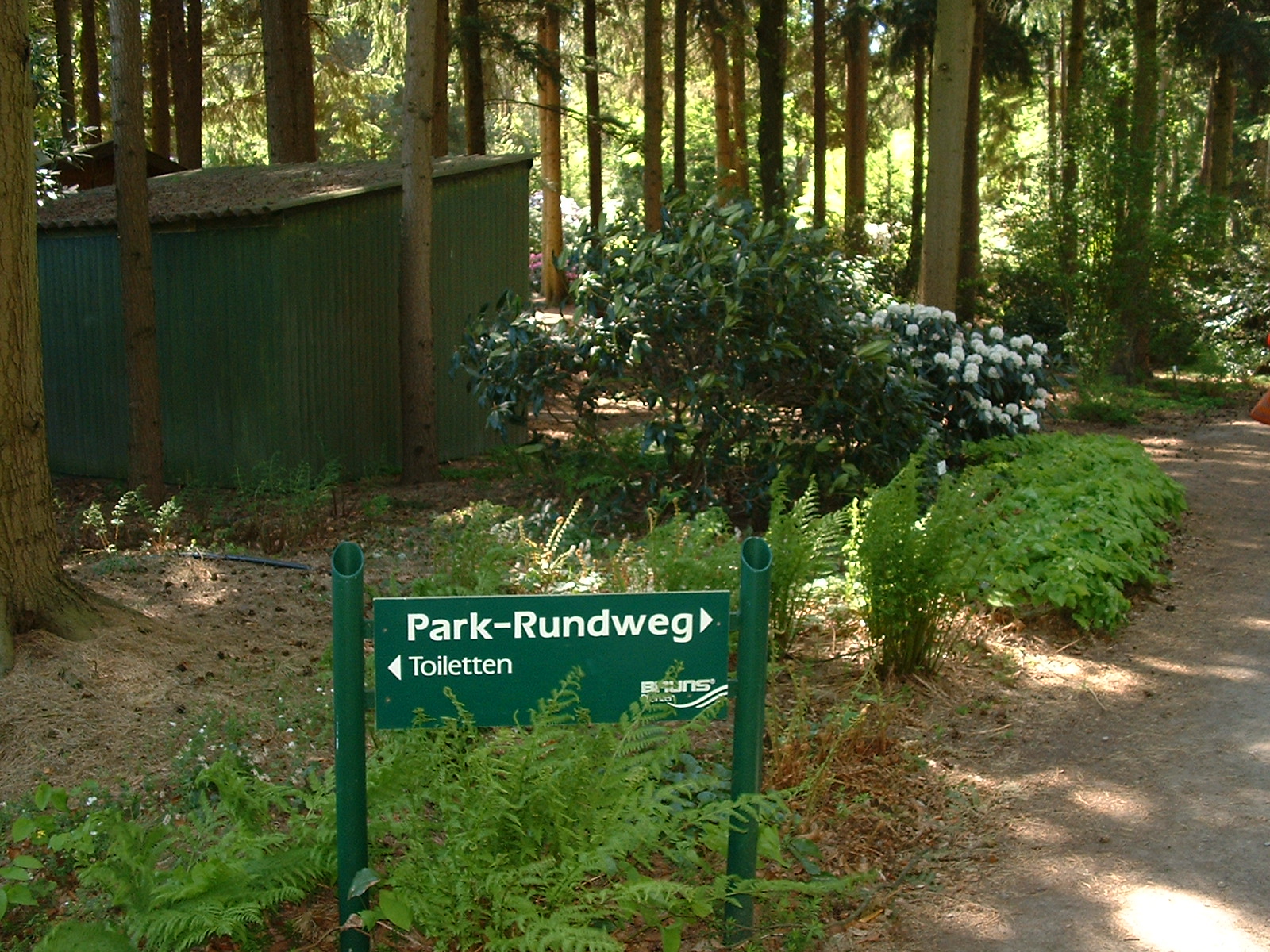 BRUNS Rhododendron-Park in Gristede