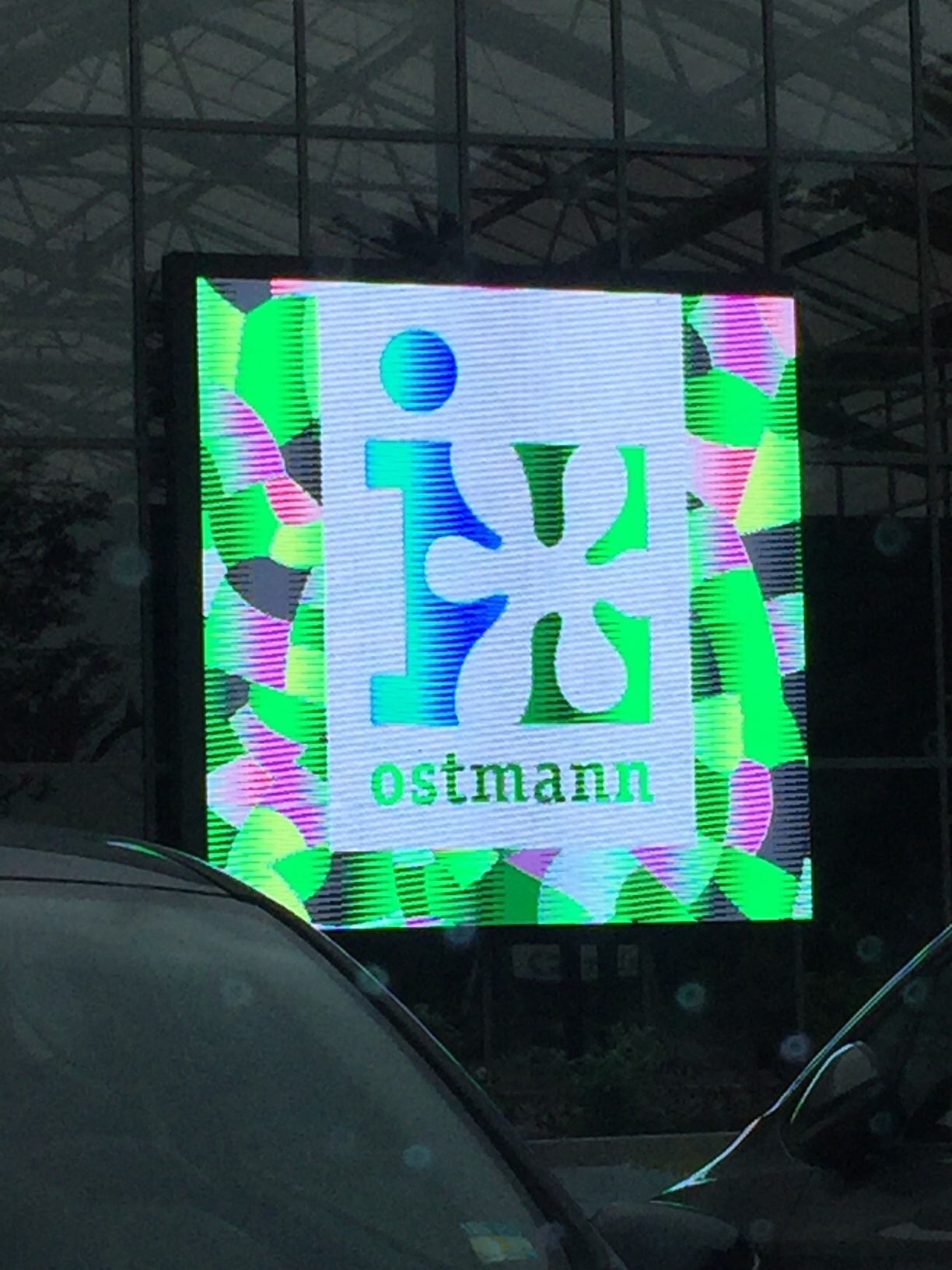 Bild 9 Blumen Ostmann GmbH in Oldenburg (Oldenburg)