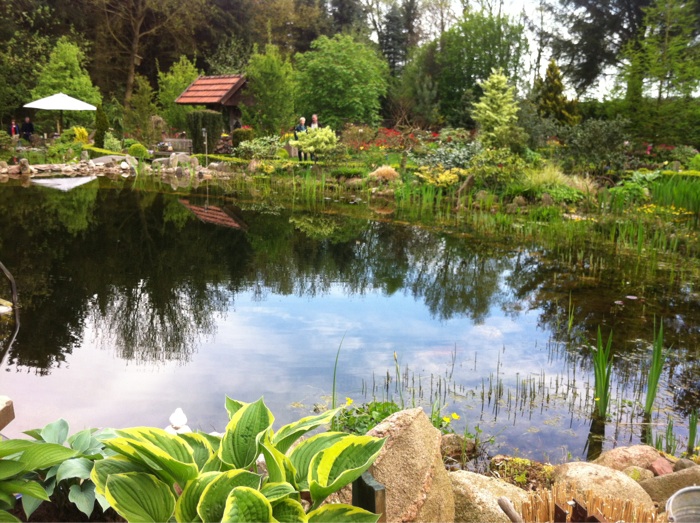 Familie Kr&uuml;ger - Stein und Wassergarten