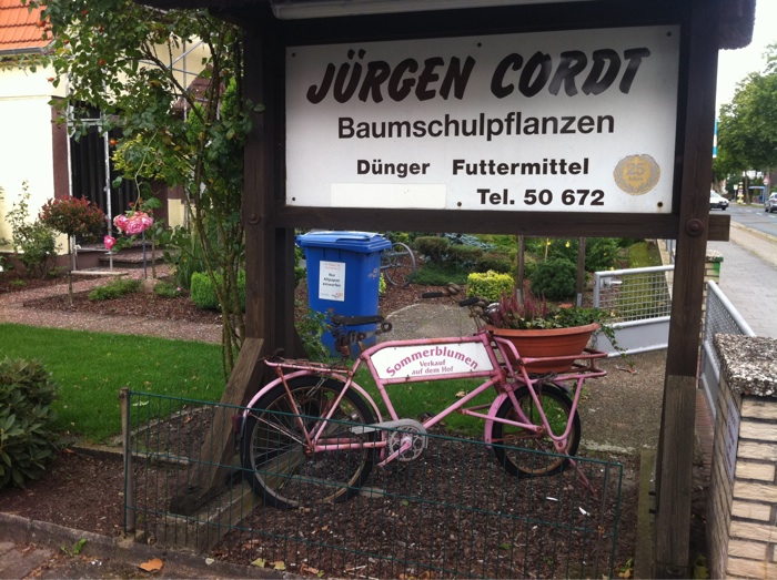 Bild 6 Cordt in Delmenhorst