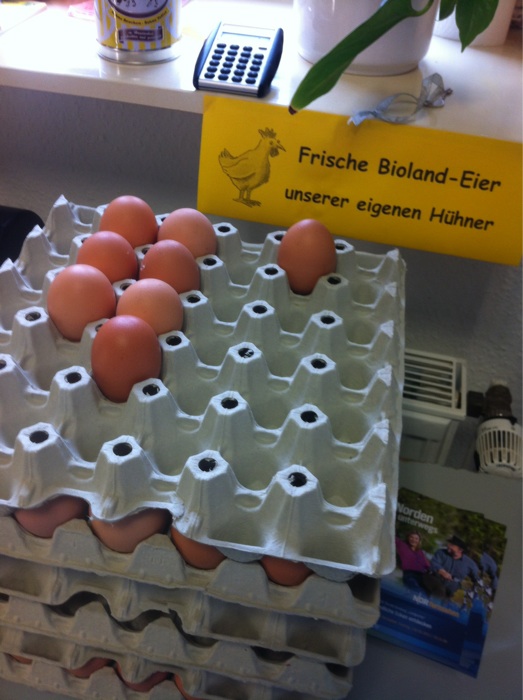 Bio Eier von Dehlwes in Lilienthal