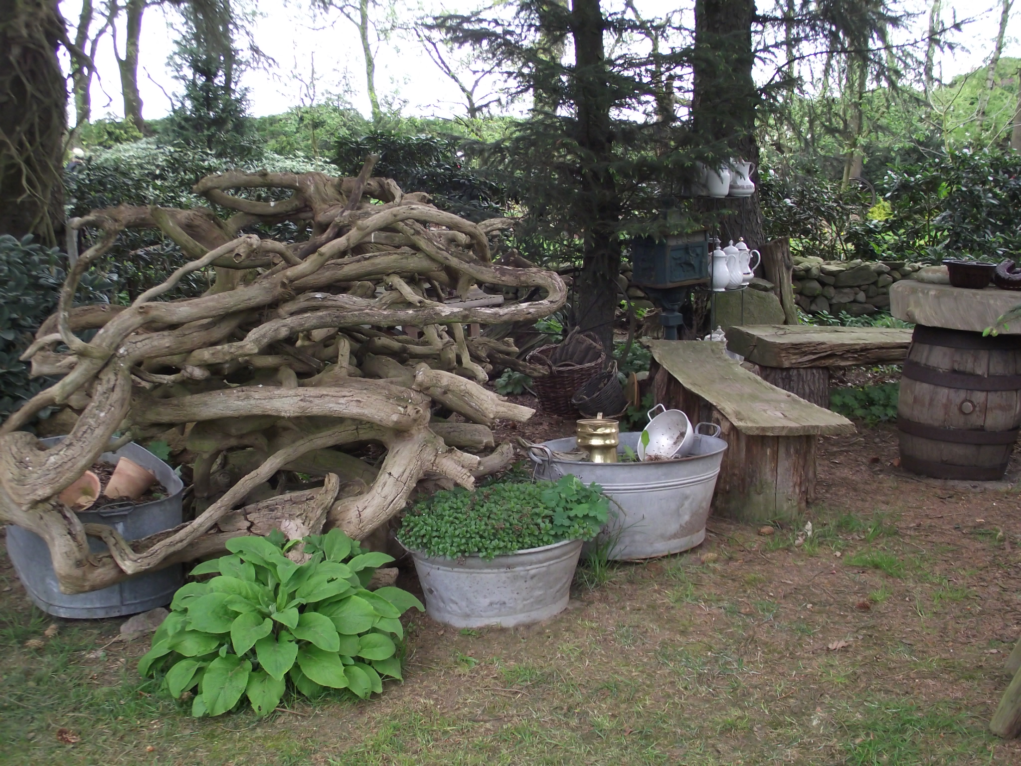 Dötlinger Gartenkultour 2012 - Stein- und Wassergarten Familie Krüger