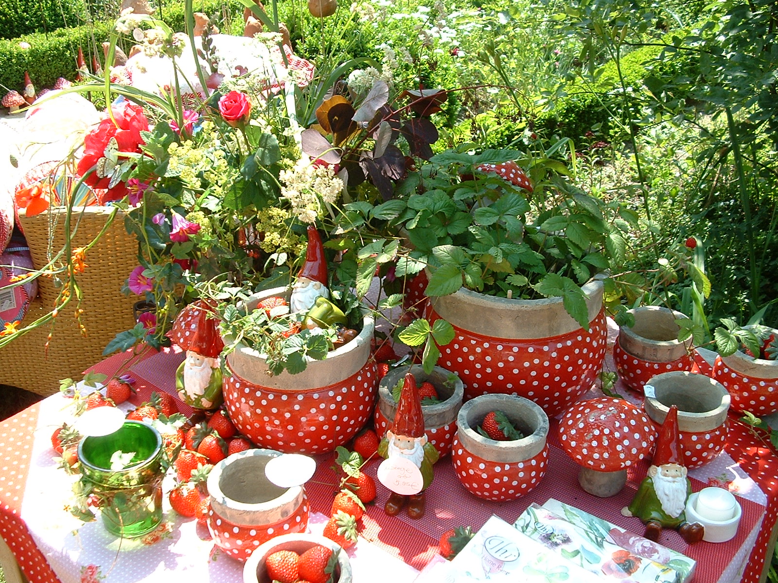 Museumsdorf Cloppenburg - Gartenpartie 5.6.2011 Zwerge und Erdbeeren