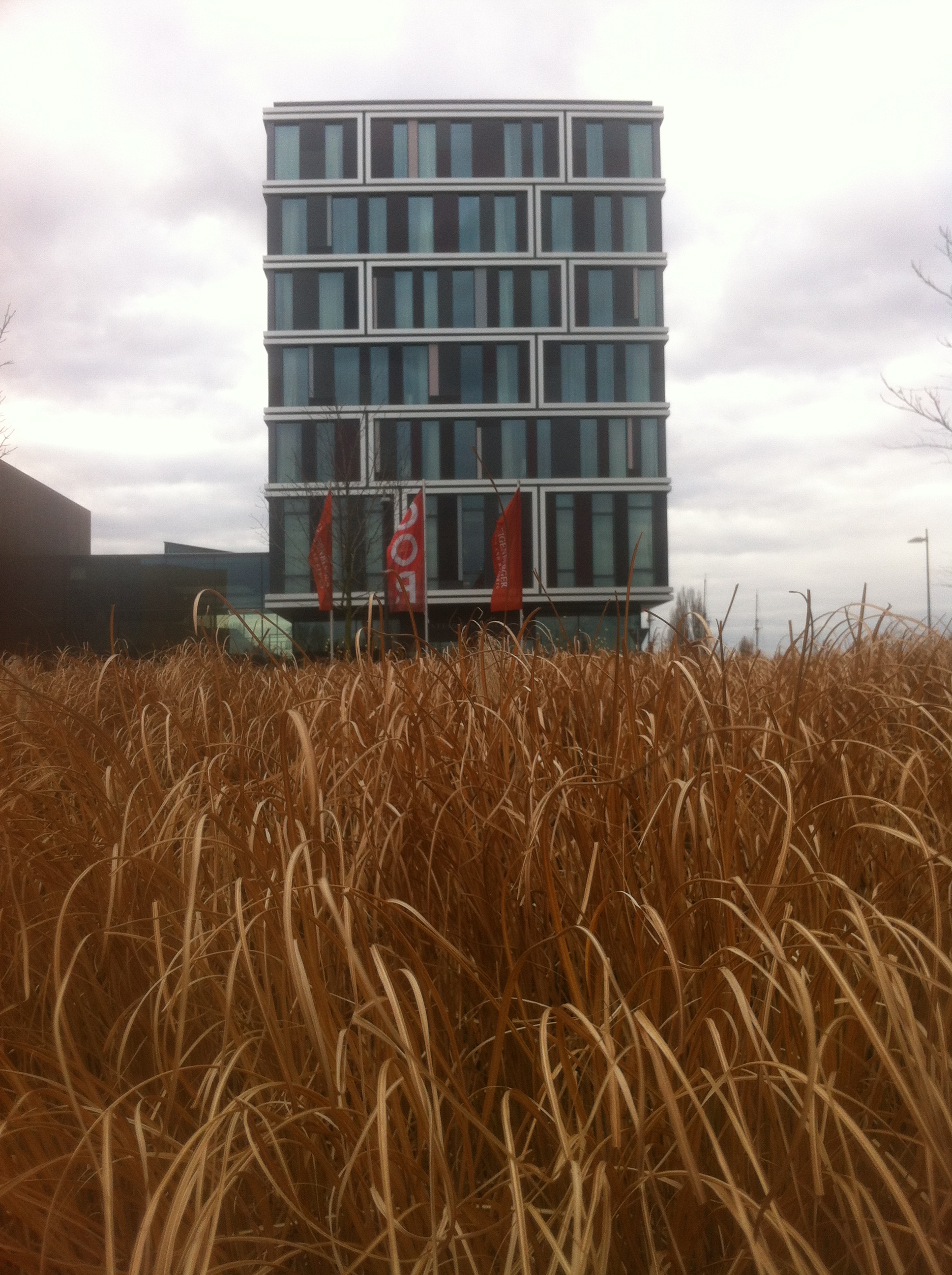 Steigenberger Hotel an der Weser