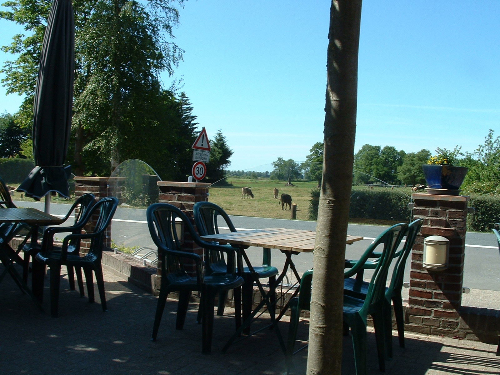 Gaststätte zur Krone in Oberhausen/Hude Blick vom Biergarten über die Straße zu den Kühen