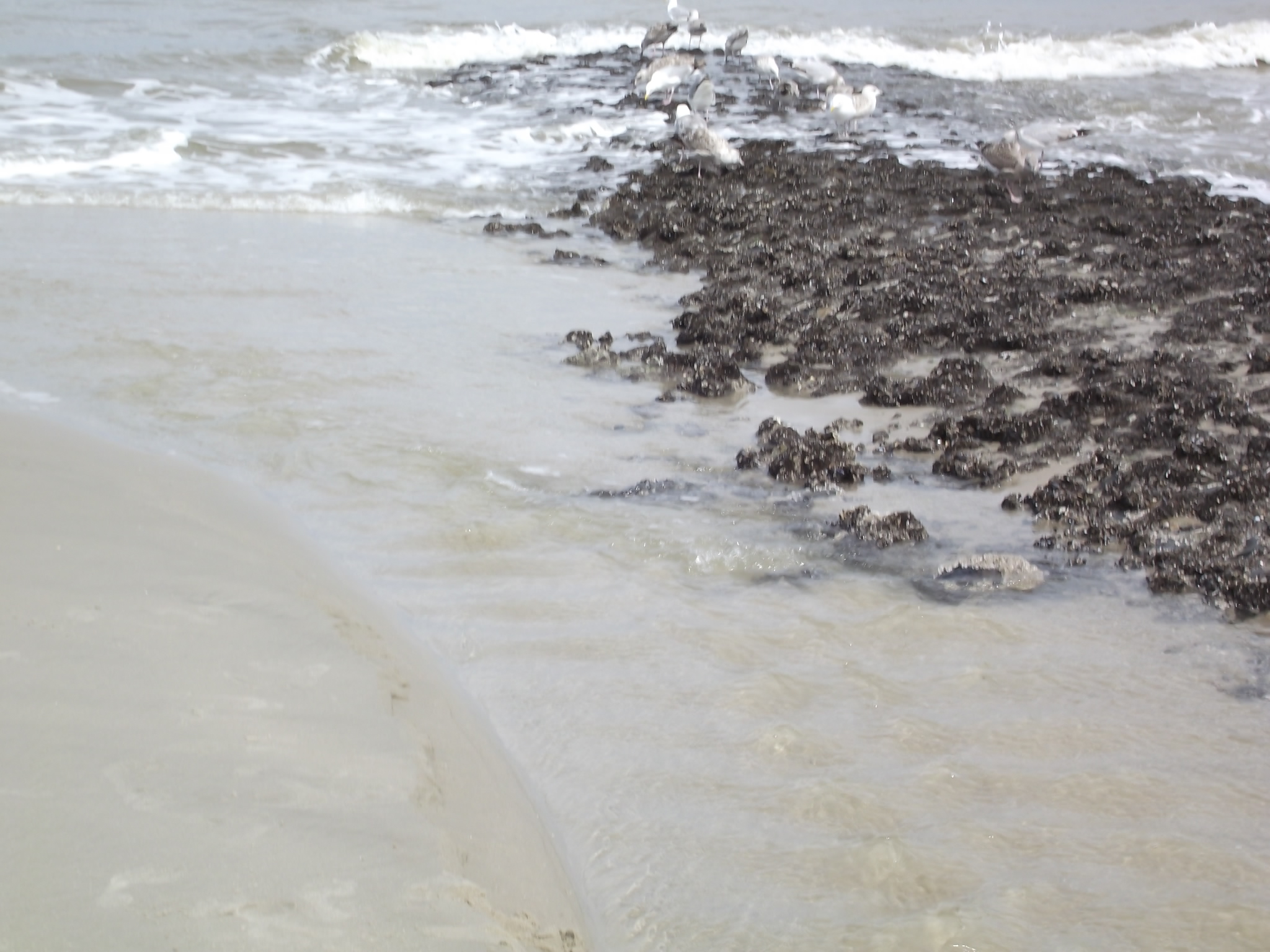 Wangerooge an der Nordsee - Priel an der Buhne