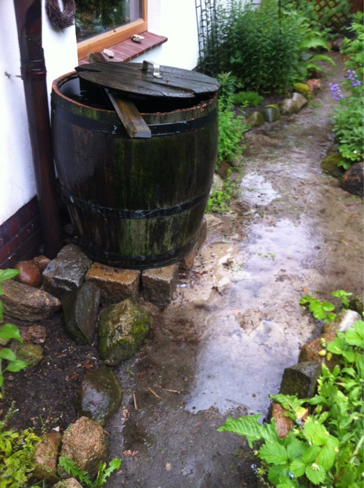 Steine von Walter, der Garten schwimmt, die Tonne ist voll