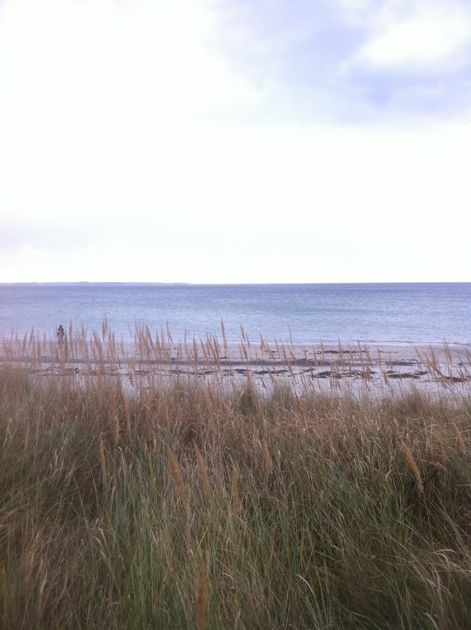 Blick von der Stranddüne in Scharbeutz auf die Ostsee