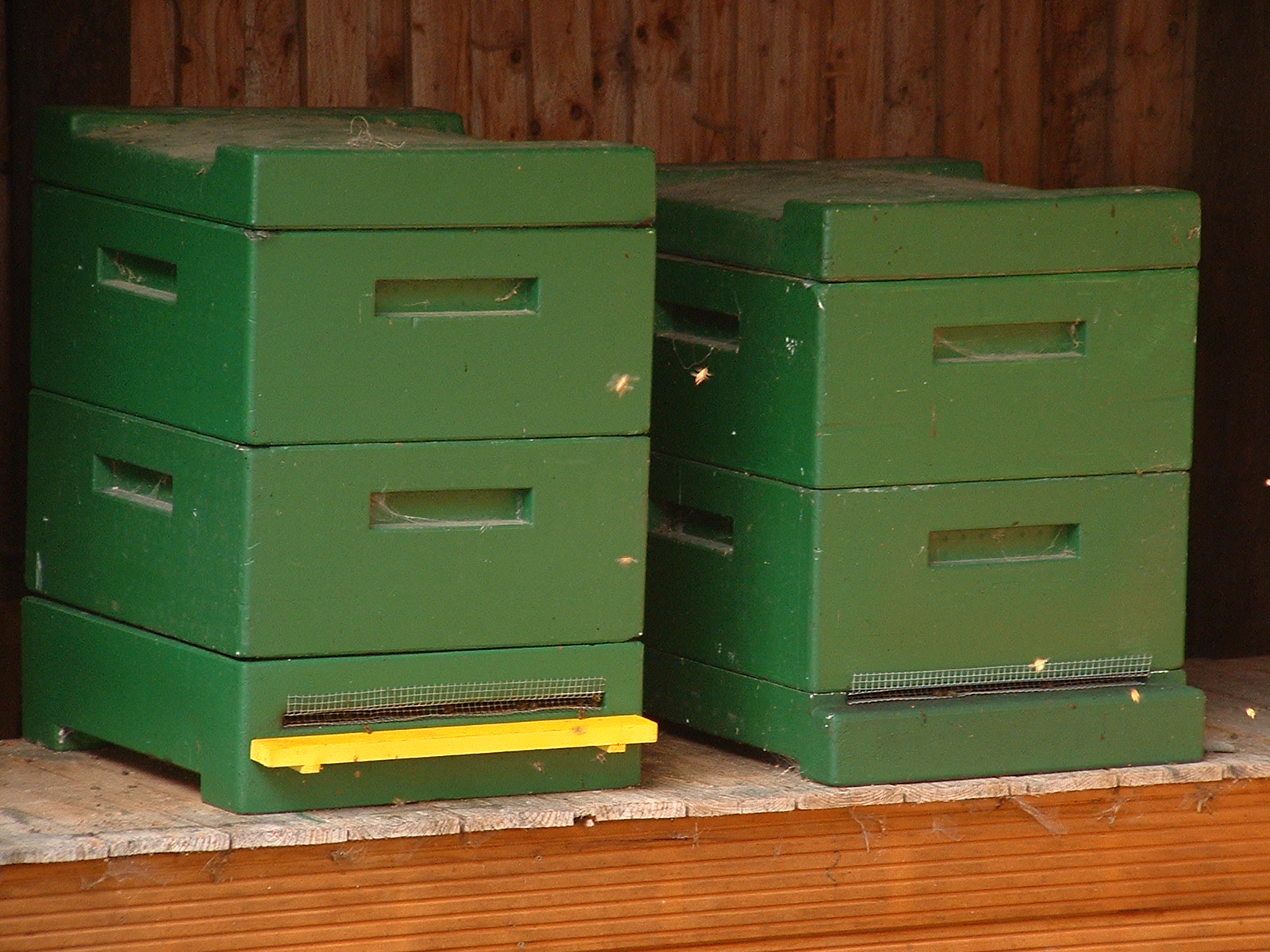 grüne Bienenstöcke beim NIZ in Goldenstedt