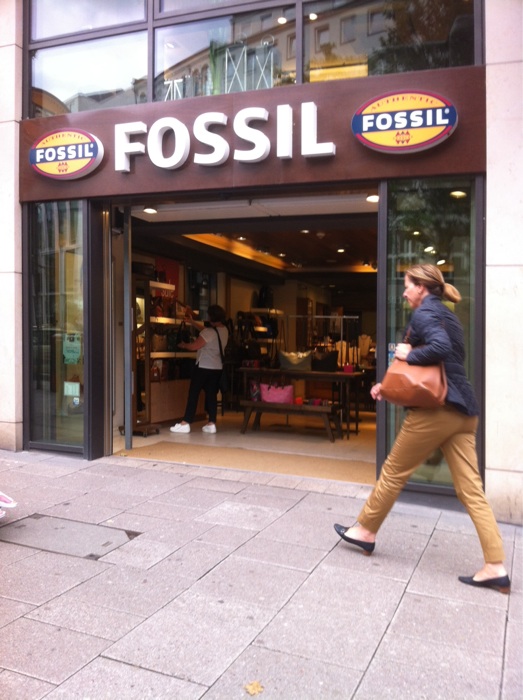 Bild 1 Fossil in Hamburg