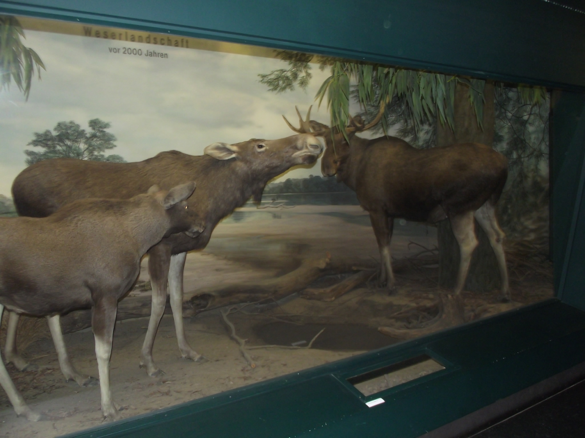 Überseemuseum in Bremen - Weserlandschaft vor 2000 Jahren