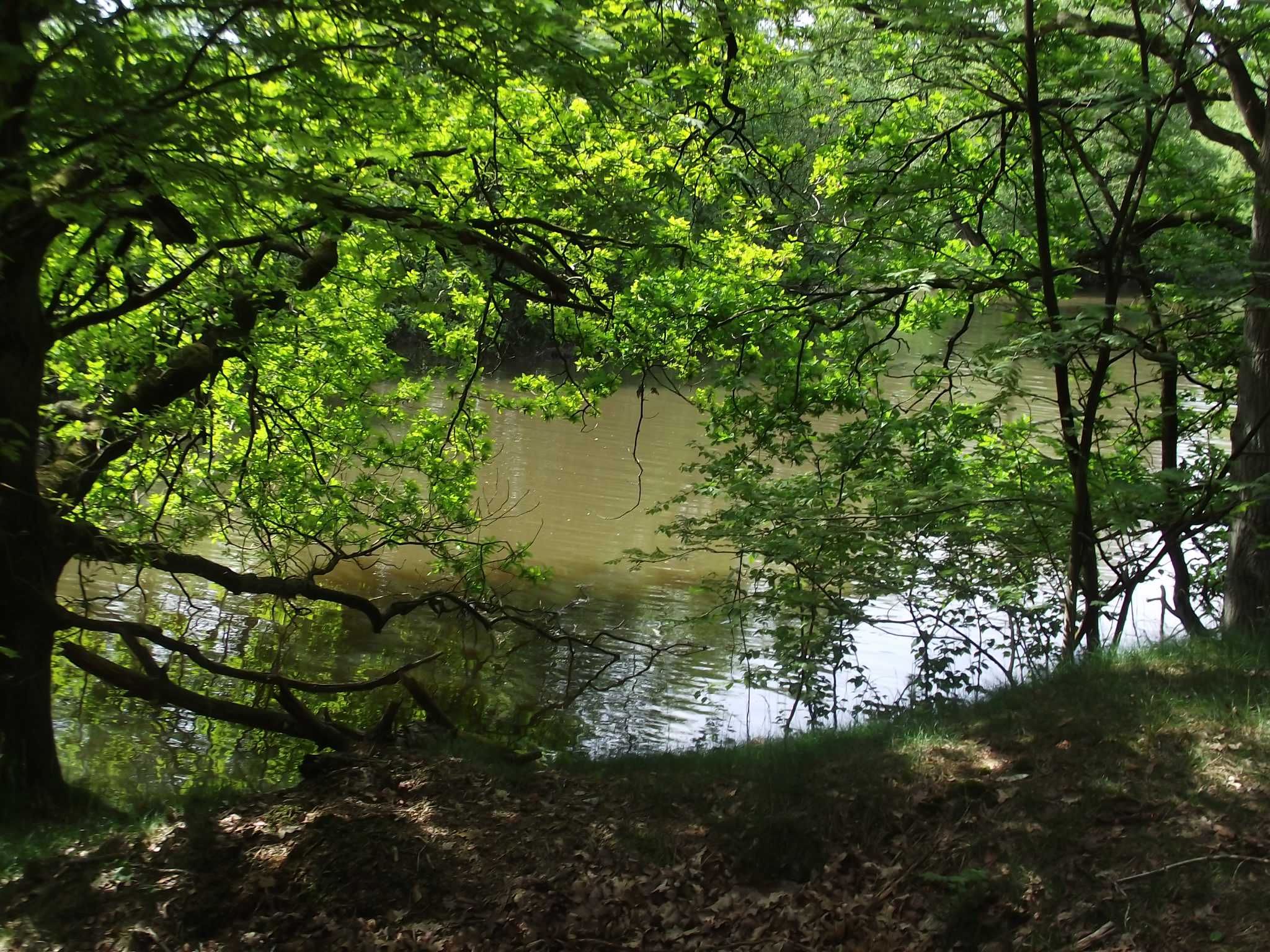 An der Thülsfelder Talsperre