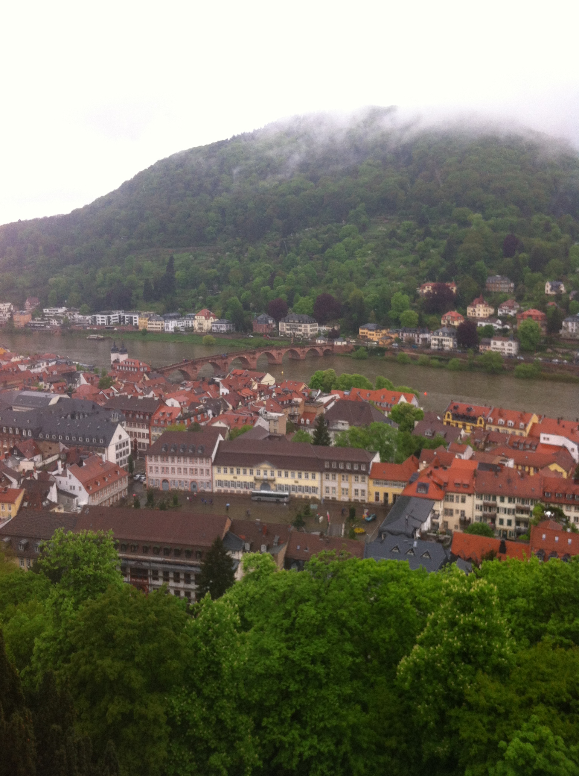 Blick vom Schloss Heidelberg auf den Neckar