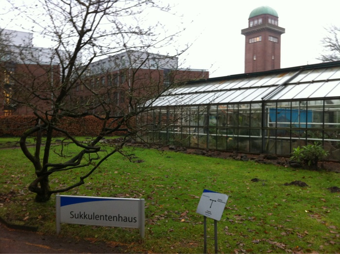 Bild 14 Botanischer Garten der Carl von Ossietzky Universität Oldenburg in Oldenburg