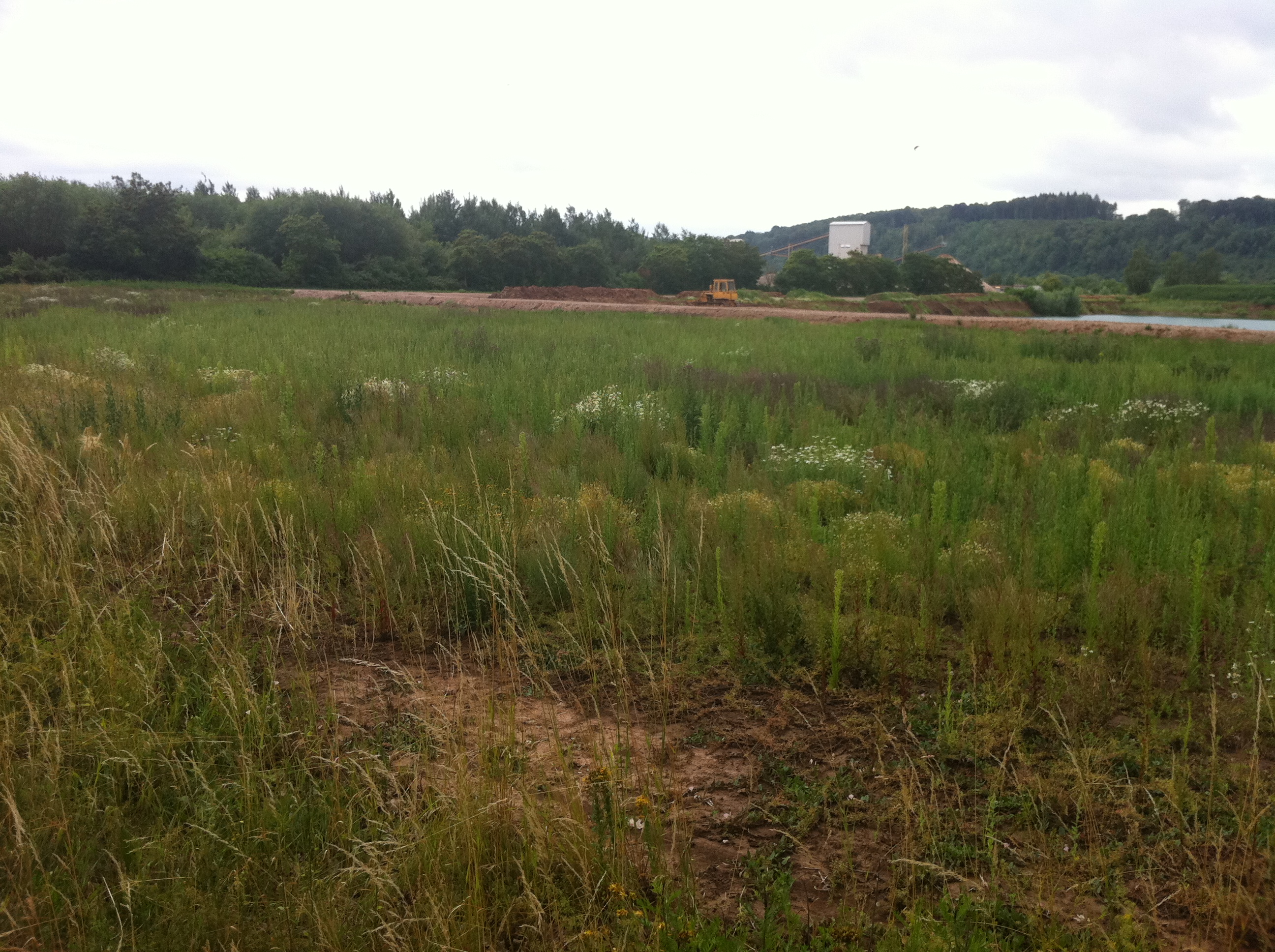 CEMEX Kies &amp; Splitt Gewinnung aus der Weser in Hameln