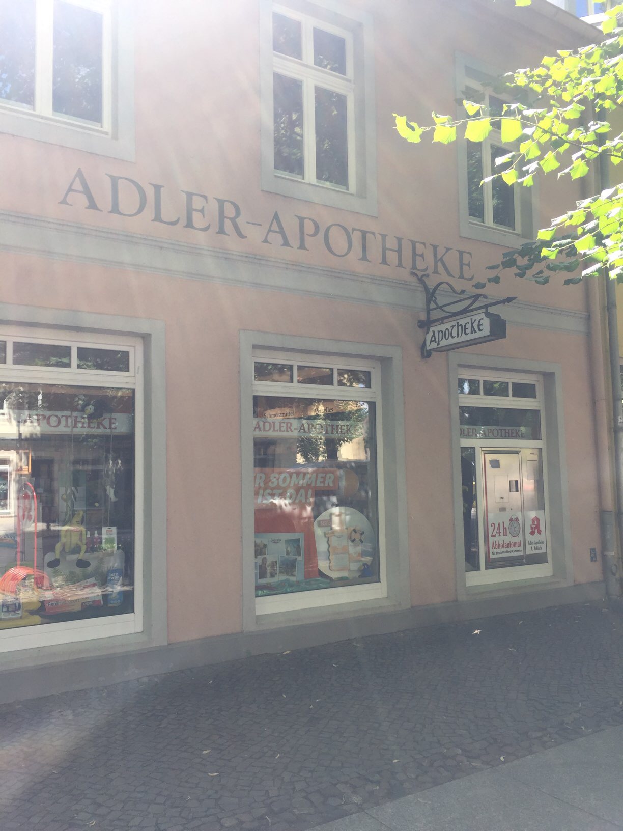 Bild 3 Adler in Rheinsberg