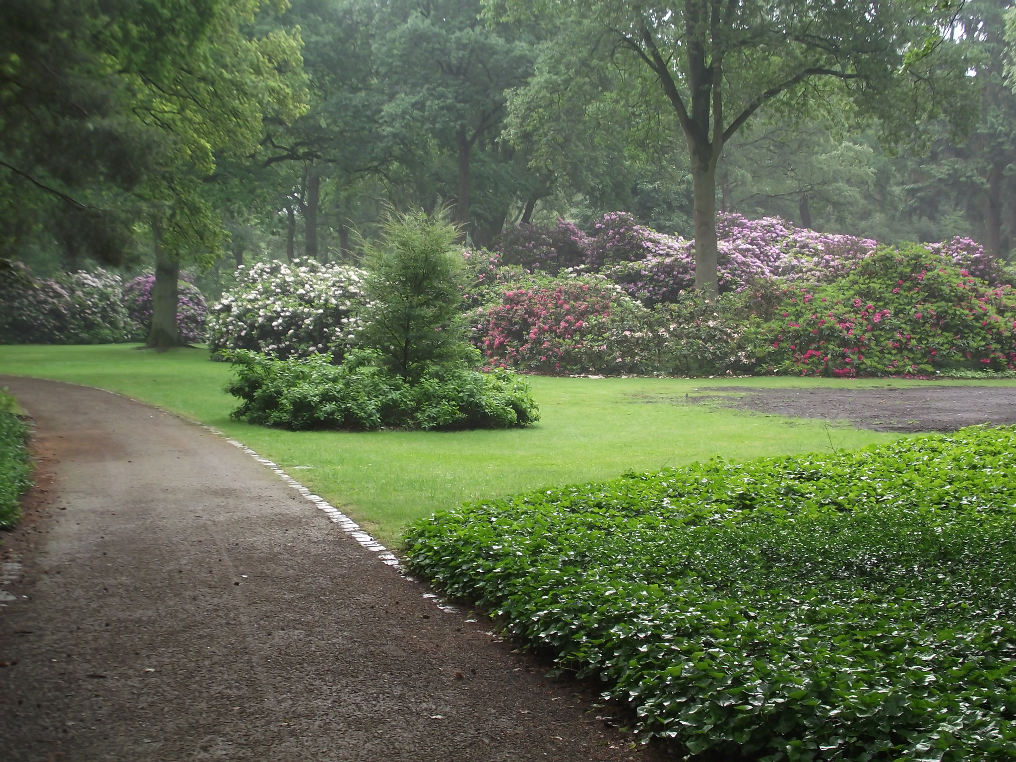 Rhododendron-Park Bremen