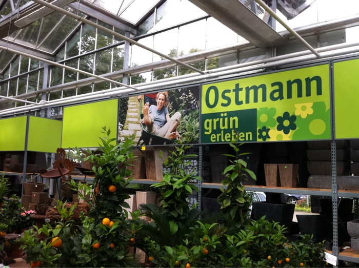 Bild 11 Ostmann Blumen GmbH in Stuhr
