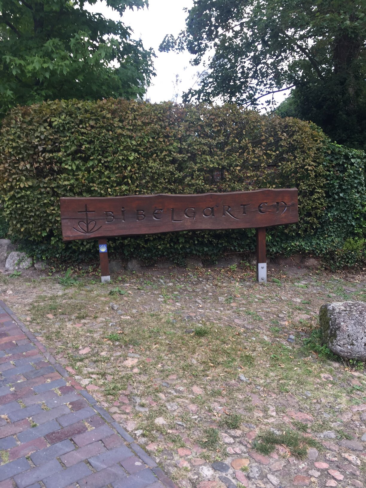 Bild 2 Alexanderkirche - Evangelisch-lutherische Kirchengemeinde Wildeshausen in Wildeshausen