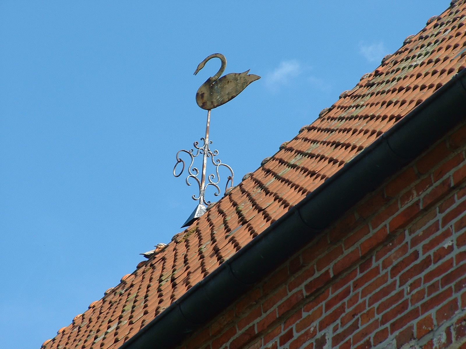 Die Wibadikirche in Wiegboldsbur - Ostfriesland - Wetterfahne auf dem Dach