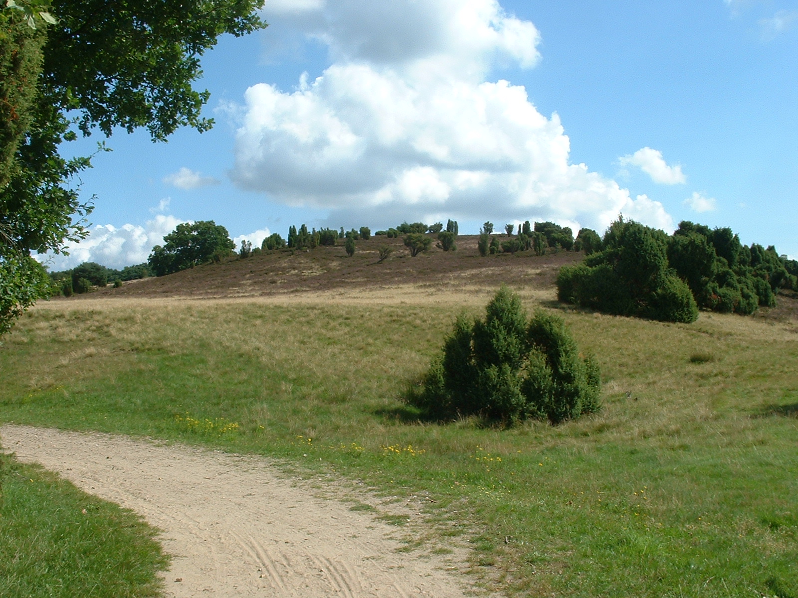 Sommerwetter in der Lüneburger Heide