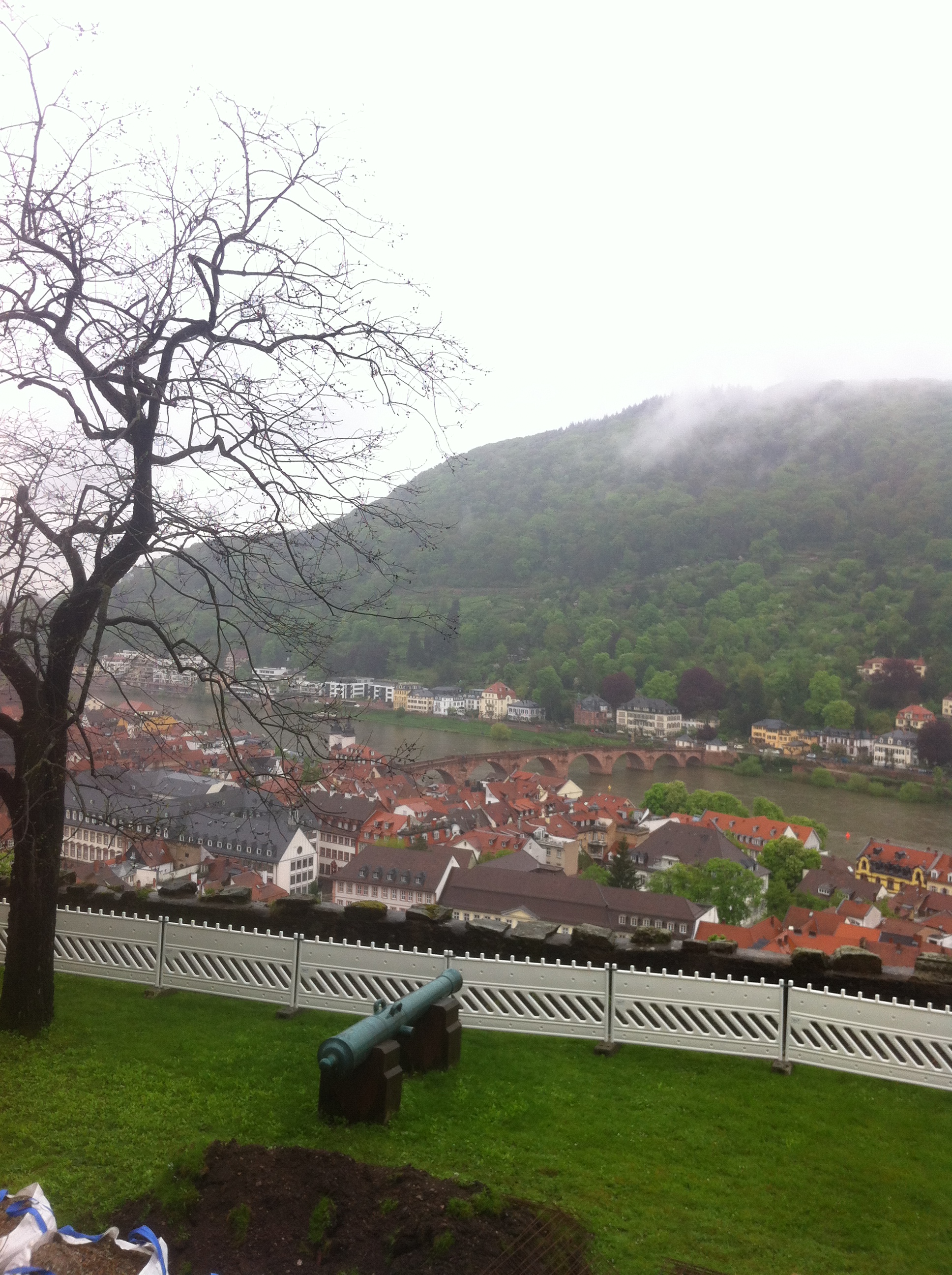 Blick vom Schloss Heidelberg auf den Neckar
