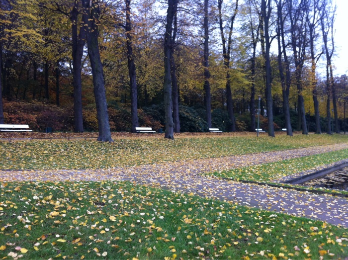 Bild 21 Bürgerpark-Tombola in Bremen