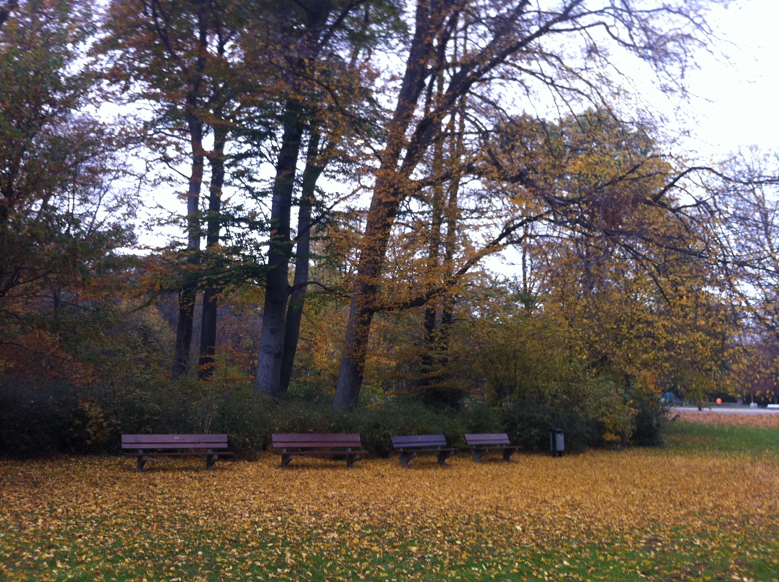 Herbst im Bürgerpark