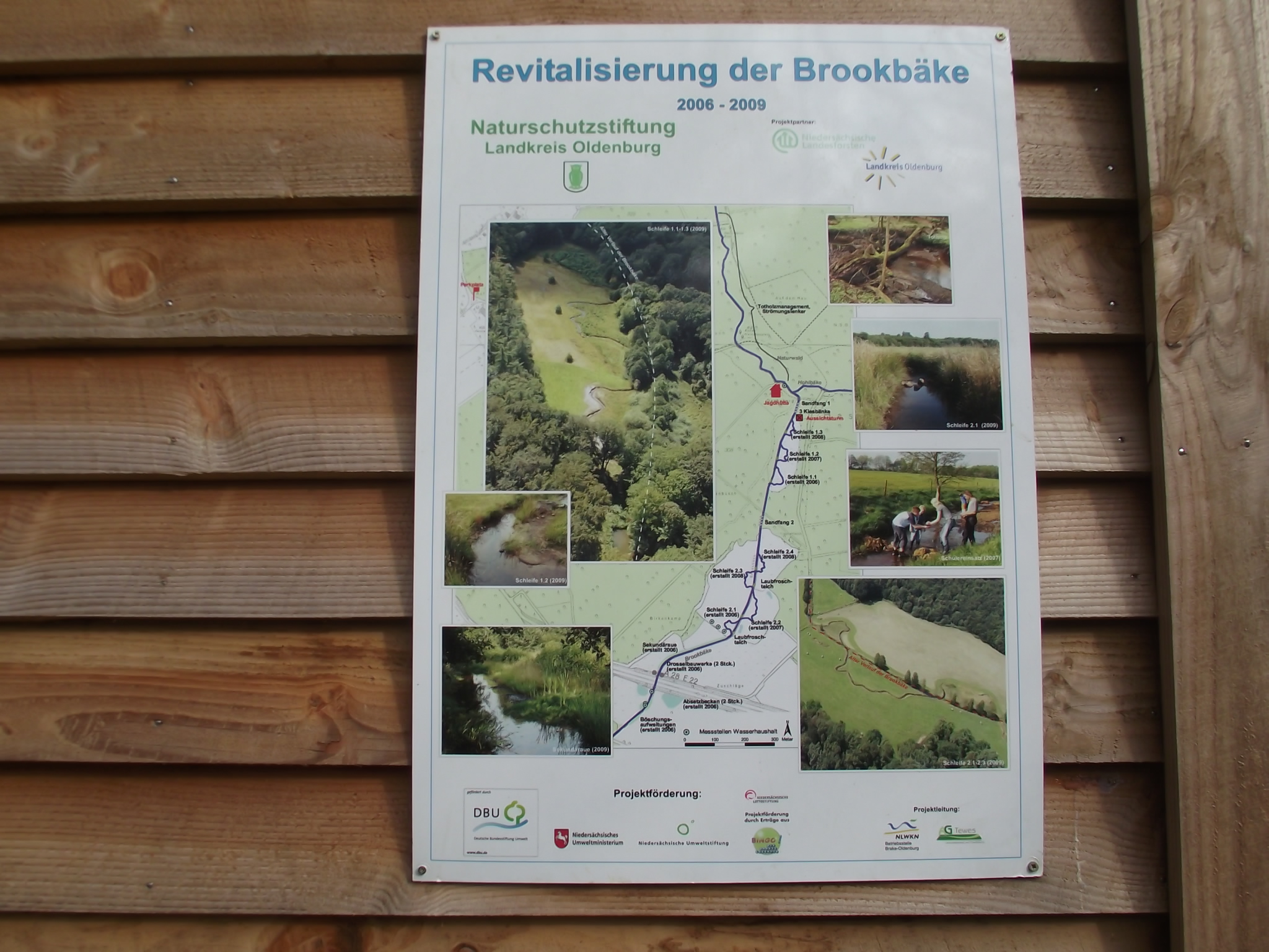 Im Naturwald Hasbruch - Neuer Aussichtsturm an der Brookbäke