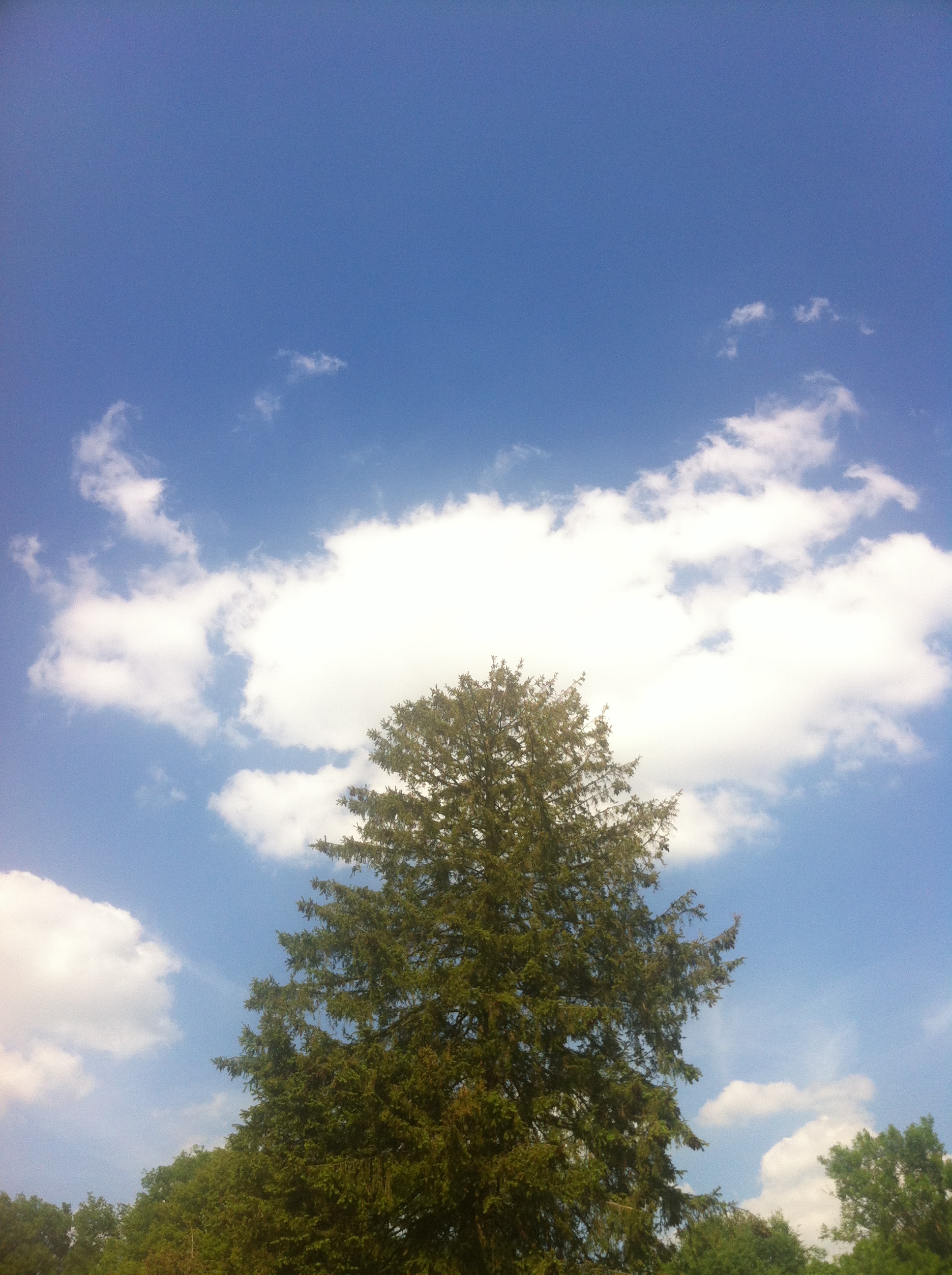 Am Klosterhof Jührden Kaiserwetter