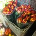 Fleur Shop Blumen in Hude in Oldenburg