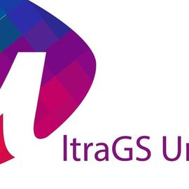 UltraGS Umzug Frankfurt am Main in Frankfurt am Main