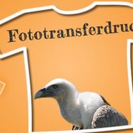 Bird Shirt Stickerei & Druck in Potsdam