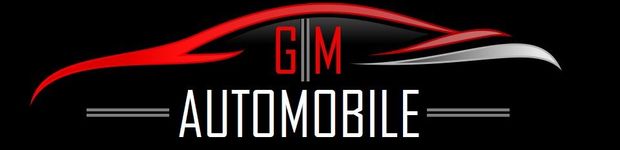 Bild zu GM Automobile