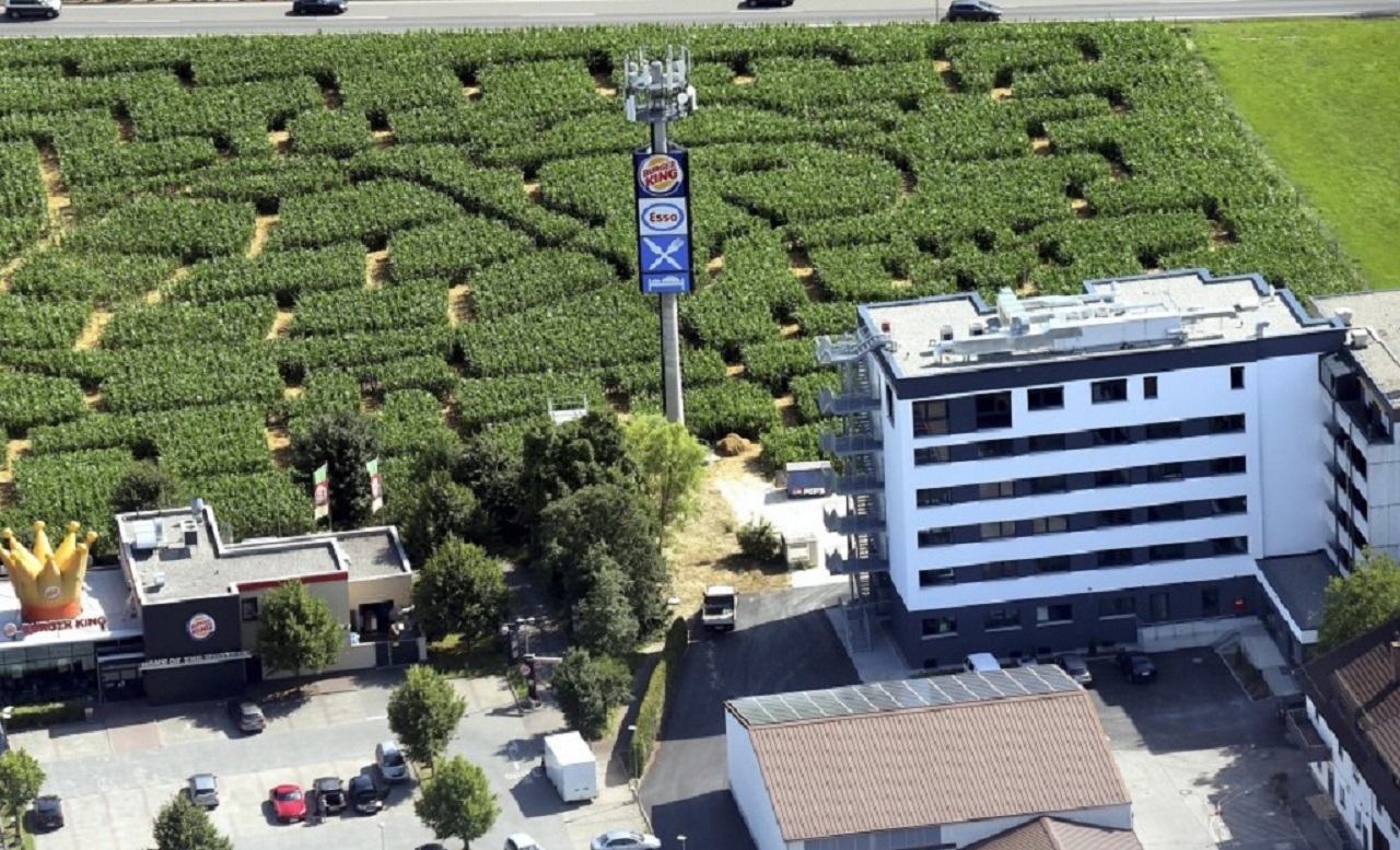 Maislabyrinth neben dem Hotel