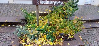 Bild zu Burchards Rosen Apotheke