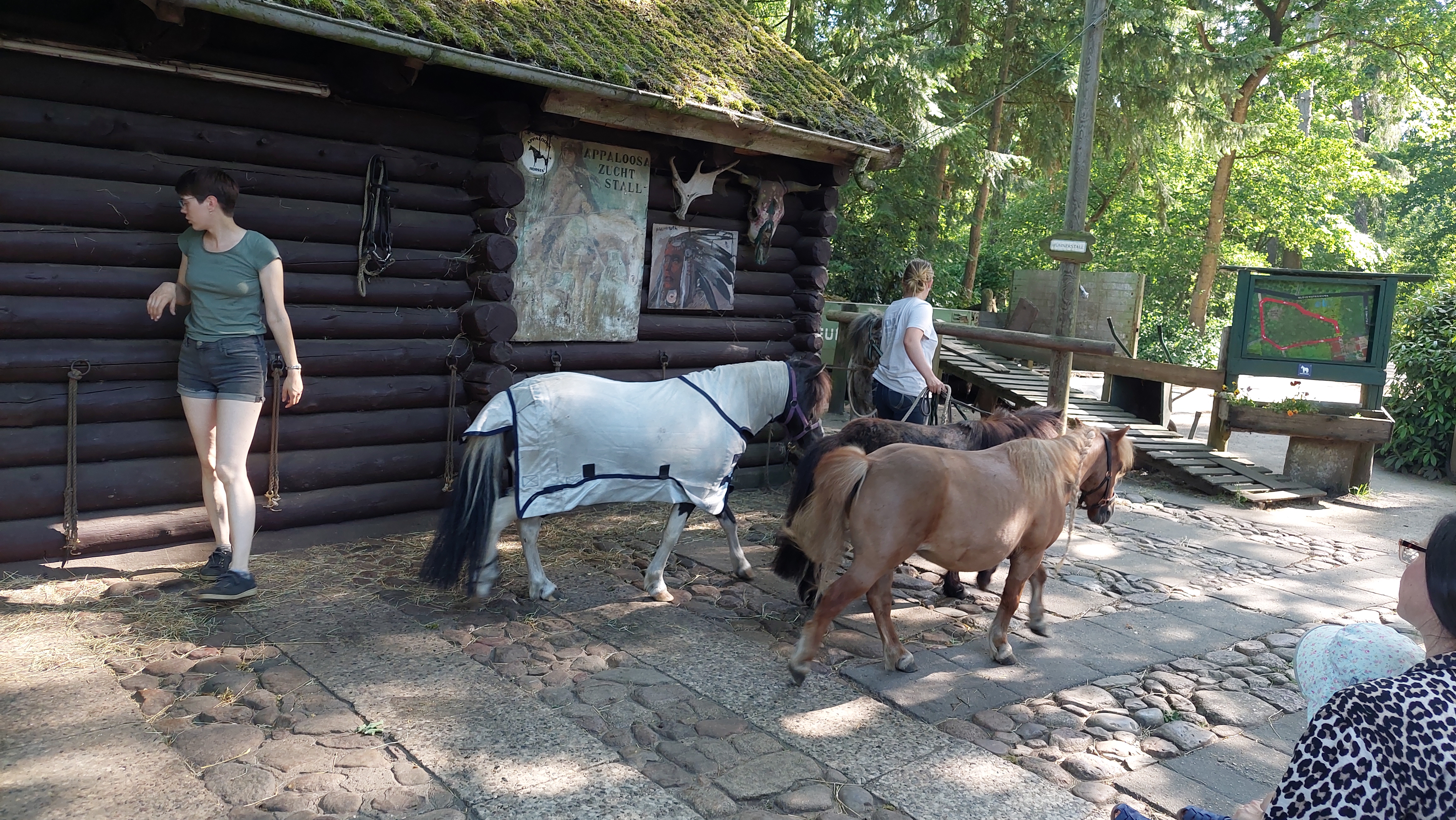 Bild 5 Pony-Waldschänke in Hamburg