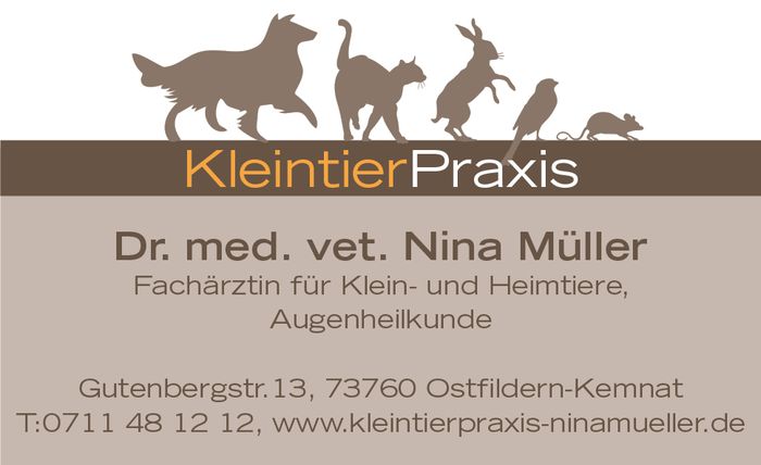 Nutzerbilder Müller Nina Dr. Kleintierpraxis