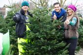 Nutzerbilder Niesner Horst Weihnachtsbaumverkauf