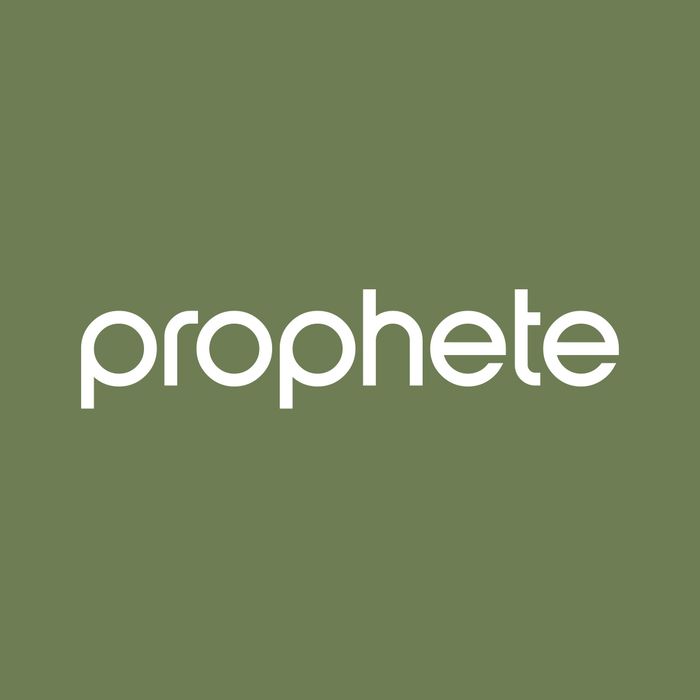 Prophete In Moving GmbH