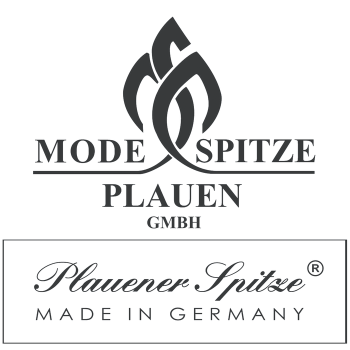 Plauener Spitze by Modespitze